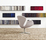 Swan™ | Fritz Hansen