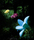 Getsuen | edra