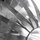 Agave | LUCEPLAN