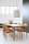 Oak | Skandiform
