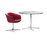Bob | Walter Knoll