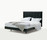 Afrodite [Simplice Collection] | Maxalto