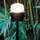 Fresnel 1148 | Oluce