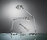 Tolomeo | Artemide
