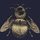 NAPOLEON BEE WALLPAPER | Timorous Beasties