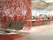 Algue | Vitra