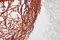 Algue | Vitra