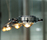 Ocular Pendant Lights | Licht im Raum