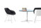 Turtle | Walter Knoll