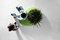 Bd love series | Bd Barcelona