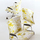 Work | De Padova