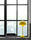 FlowerPot | &TRADITION