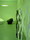 spira | spHaus