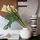 Four seasons | Porada