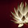 Aloe Table / Standing lamp | Jeremy Cole