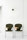 Egoa | STUA