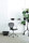 Egoa | STUA