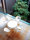 Tom Vac | Vitra