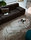 Raj | Gallotti & Radice