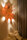 Poppy | serien.lighting