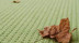 Level 900 | OBJECT CARPET