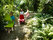 Panton Junior | Vitra
