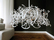 Icy Lady series | Brand van Egmond