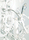 Icy Lady series | Brand van Egmond