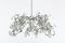 Icy Lady series | Brand van Egmond
