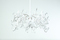 Icy Lady series | Brand van Egmond