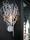 Hollywood series | Brand van Egmond