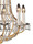 Papageno chandelier | Woka