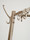 AL2 coatrack | Woka