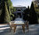 Pure | Tribù