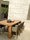 Terra | Tribù