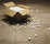 Loft | Tagina