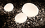 Gregg | Foscarini