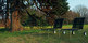 outdoor green | Alias