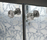 Gray | Gervasoni