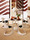 Casalino | Casala