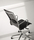 Elle executive | Fantoni