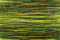 Grass | Kamism