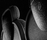 5109 Tangoclub | FIGUERAS