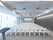630 Tulipa | FIGUERAS