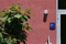 Trento | Hess