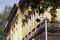 Novara | Hess