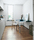 Extention | Sovet