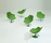 Palma | OFFECCT