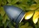 Bullet | Royal Botania