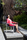 Ninix | Royal Botania